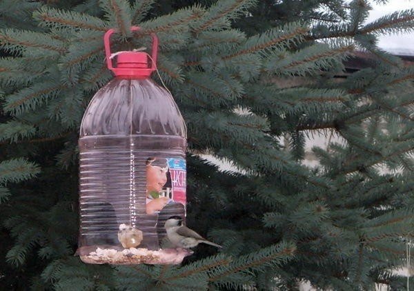 Кормушка для птиц своими руками из пластиковой бутылки