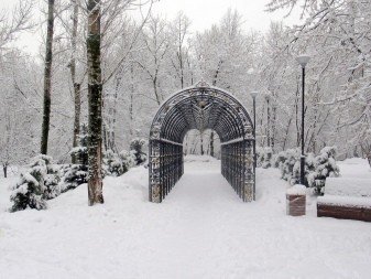 Александровский парк царское село зима