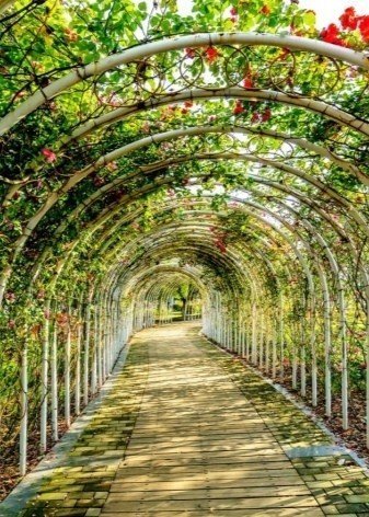 Садовые арки для вьющихся растений
