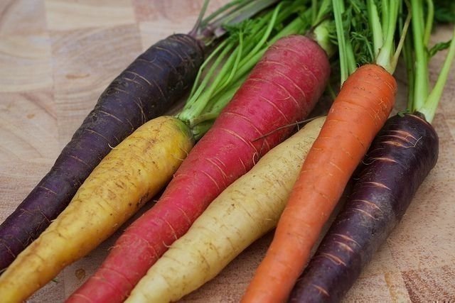 Новые сорта моркови