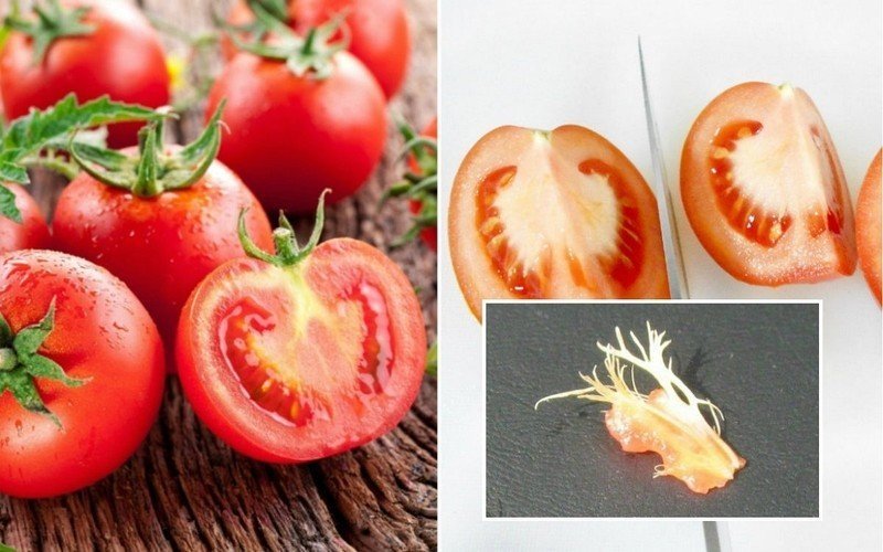 Красивые помидоры