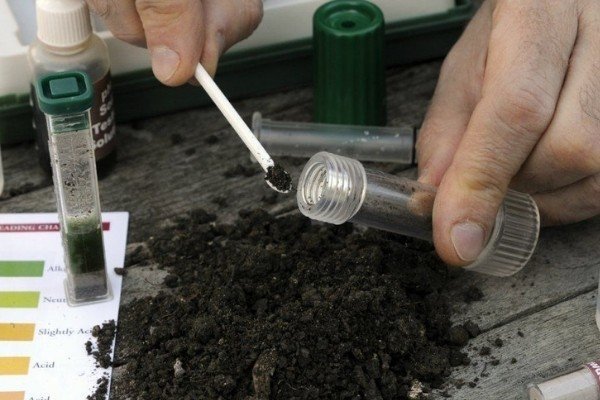 Лабораторные исследования почвы